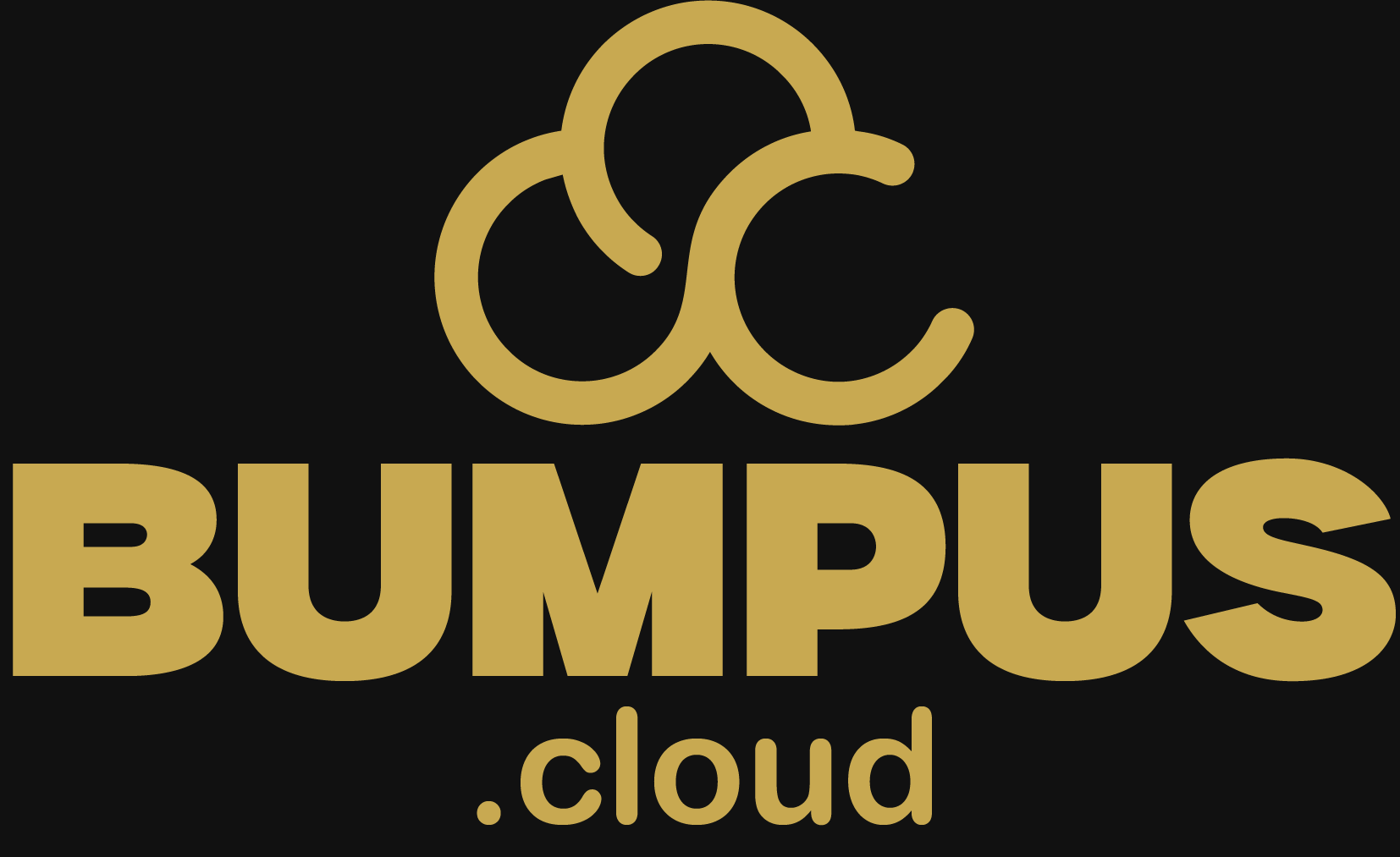 Bumpus.Cloud